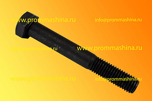 Болт М14 30024297